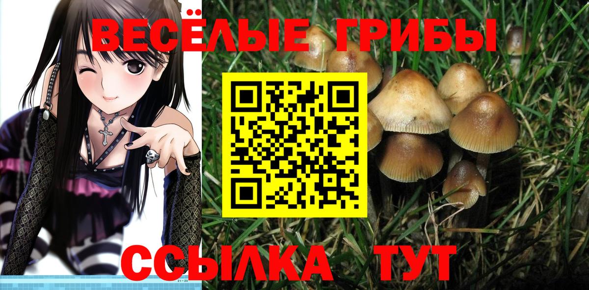 Шумерля  Галлюциногенные грибы Cubensis  Вход с VPN  Галлюциногенные грибы мухоморы 